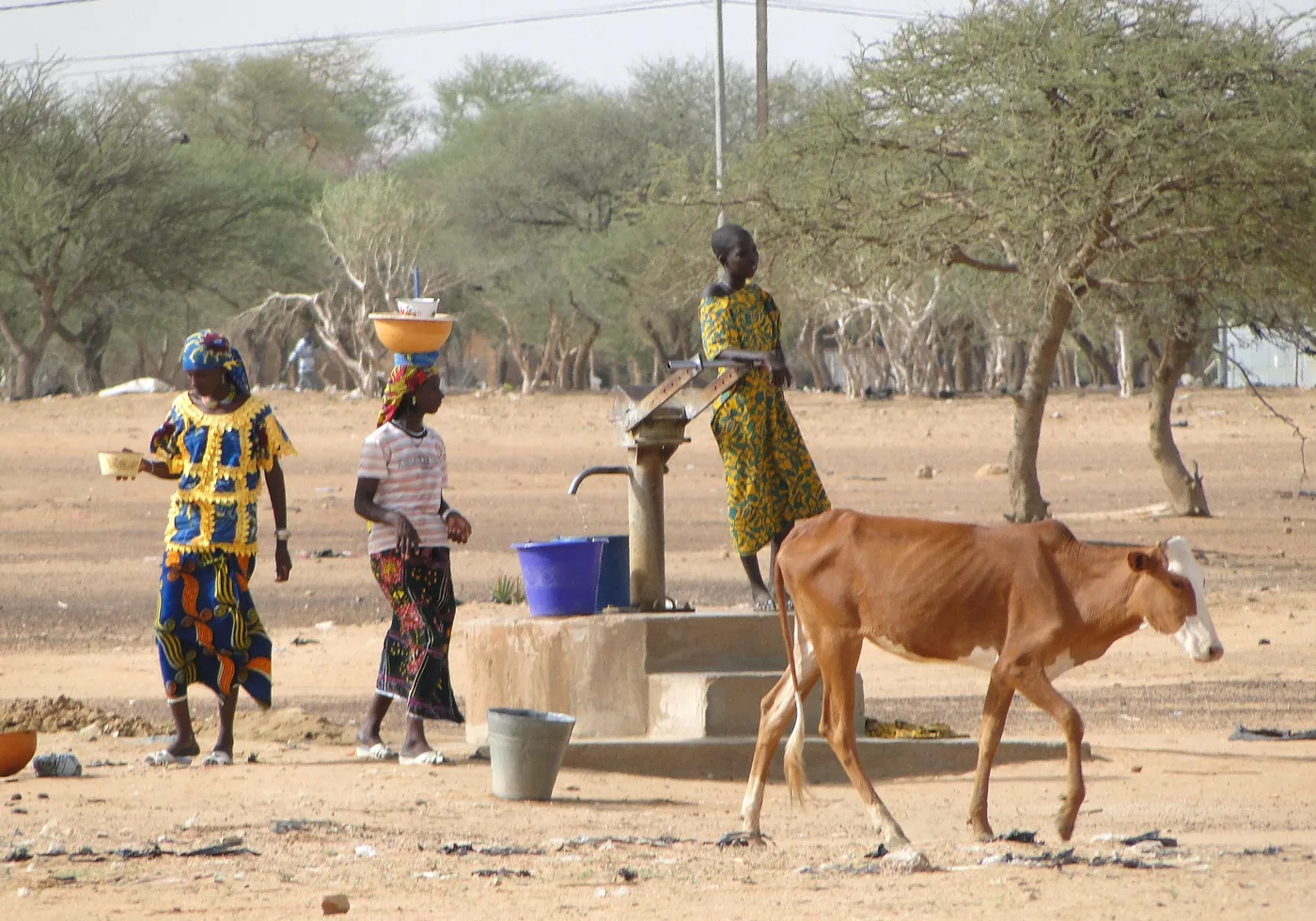 Forage et adduction d’eau villageoise